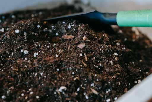 Beneficios del Compost