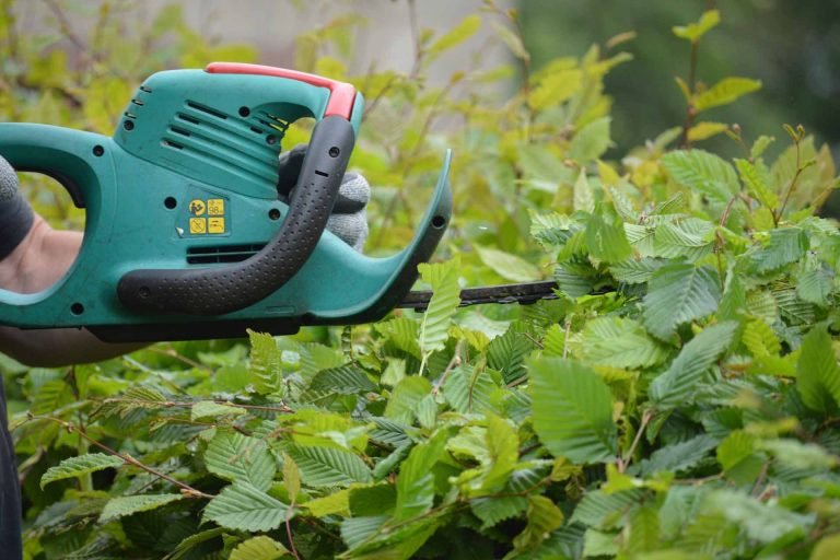 Cortasetos para Jardín