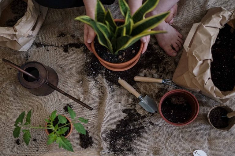 Maquinaria para Jardines