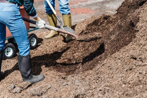 Tipos de Palas de Jardinería