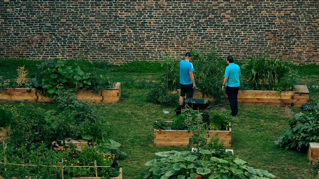 Dos personas cuidando un huerto urbano comunitario
