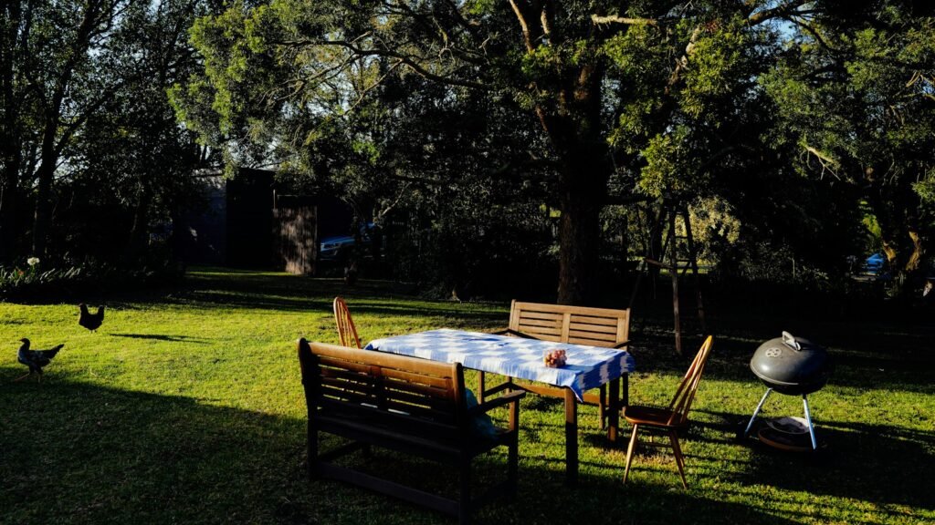 Barbacoa de gas, carbón o eléctrica: cuál elegir para tu jardín