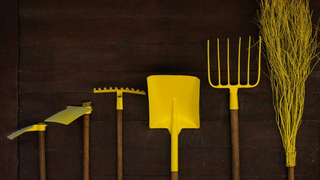 Herramientas básicas de jardinería: qué comprar primero