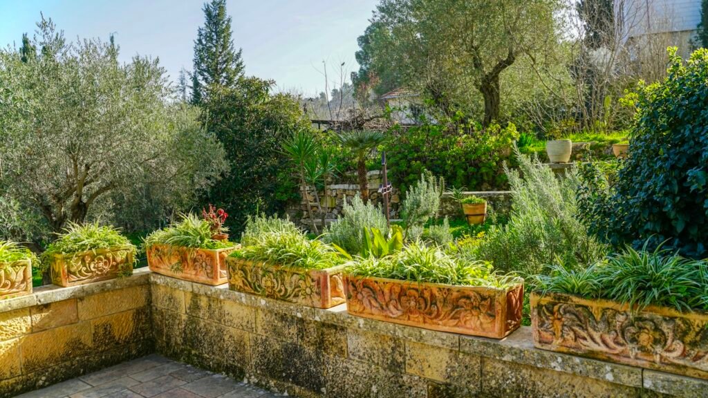 Jardín mediterráneo de bajo consumo de agua: plantas y materiales